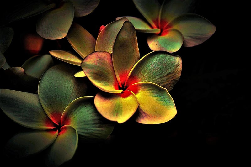 Dimensional Portals Image