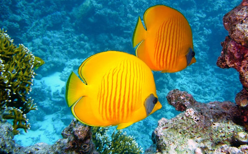 Underwater Cities